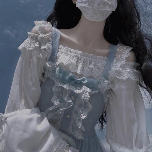 一只龟的进化史